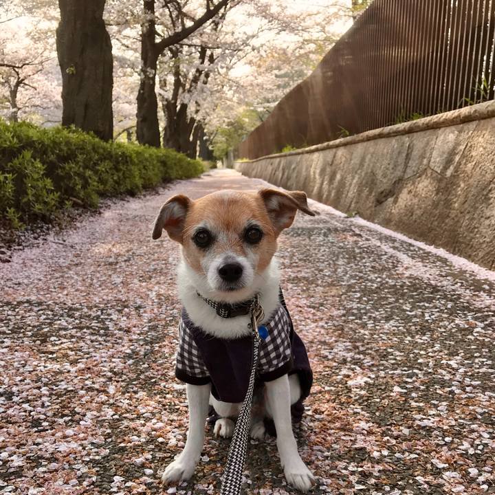 51da0b6f 2ea4 484b b284 376941f9c5ab 1617176703037