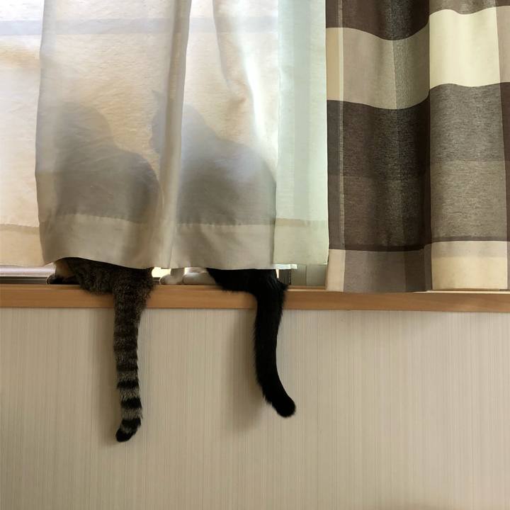 51da0bec 6072 4490 81bc 06cdd2276d34 1541927051743