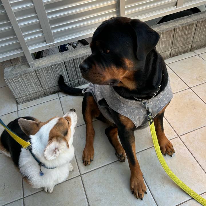 51da599b f156 41c7 9dbb 6716cc9e0448 1770369043011