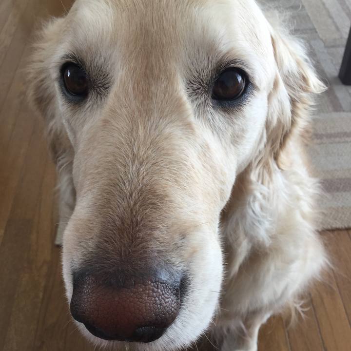 51da5f24 4530 405f b5f4 ae7098ab6c29 1520818722071