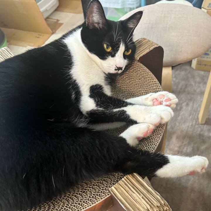 51db02a3 d74d 47f0 bbe5 d69d1ed75c0e 1757388098060