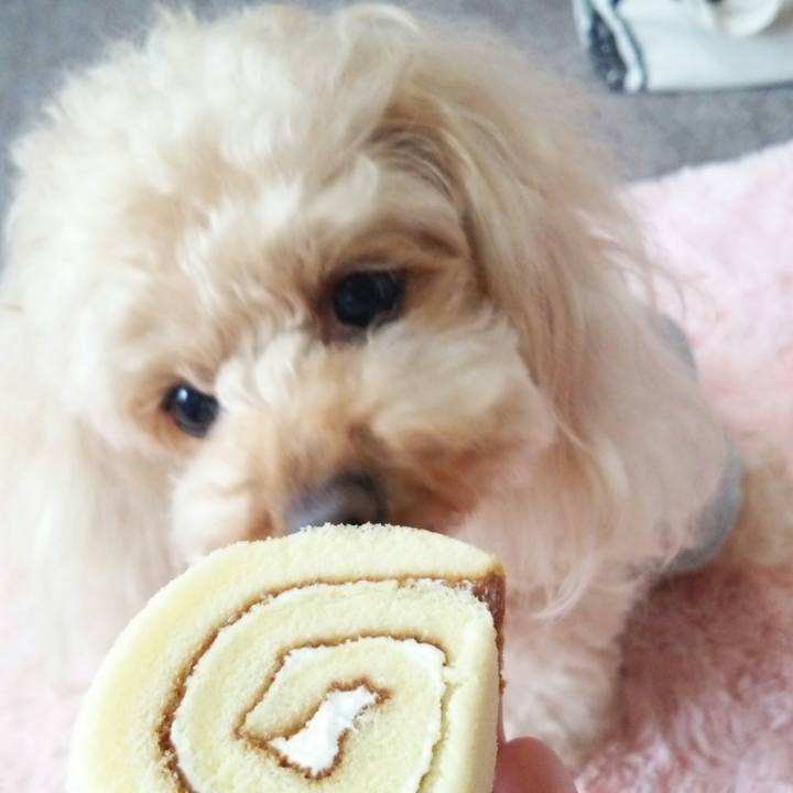 51db0ebc ea10 46e3 bc06 3ba4ad974156 1523440270546