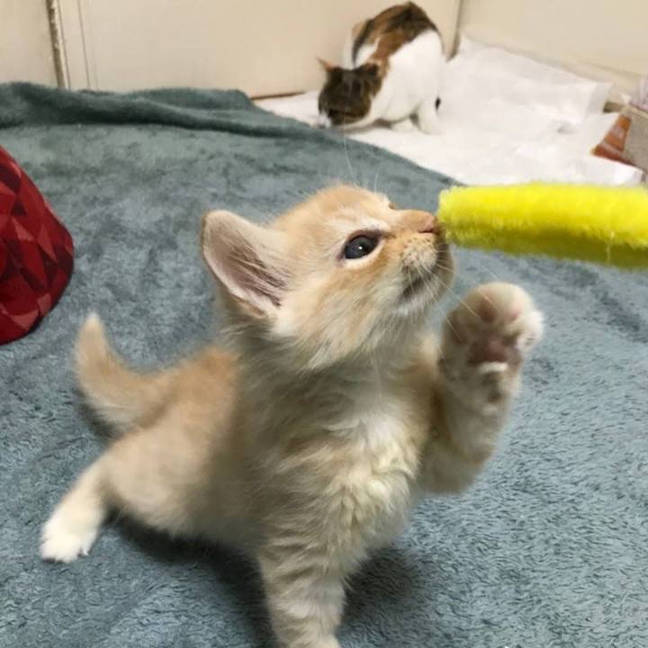 51db1042 227a 4e8f af36 c4fde9e6dbf7 1619179721488