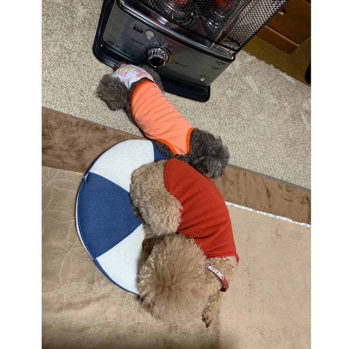 51db1624 37c8 421c ac44 3382fdc139d0 1580027342744