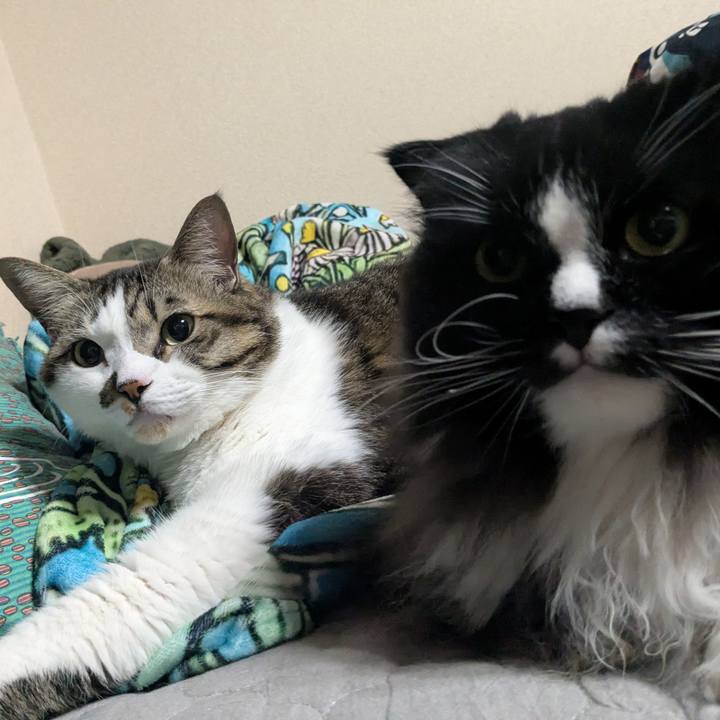 51db7190 09d3 47fa 95ee 05a3d245e872 1766302828769