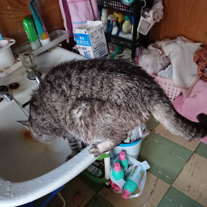 51db73de bb62 4e42 8539 934bd5d26bf5 1573597978918