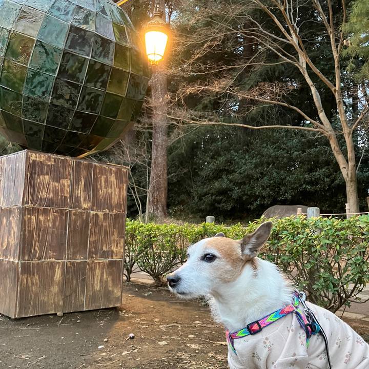 51db8527 146f 4295 b0cc 075ec164f301 1709426961894