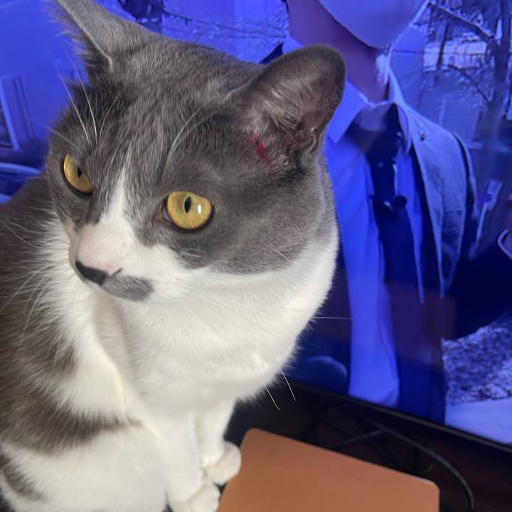 51dbdbe1 6b90 4e89 9c47 17986019d2f1 1674878223719