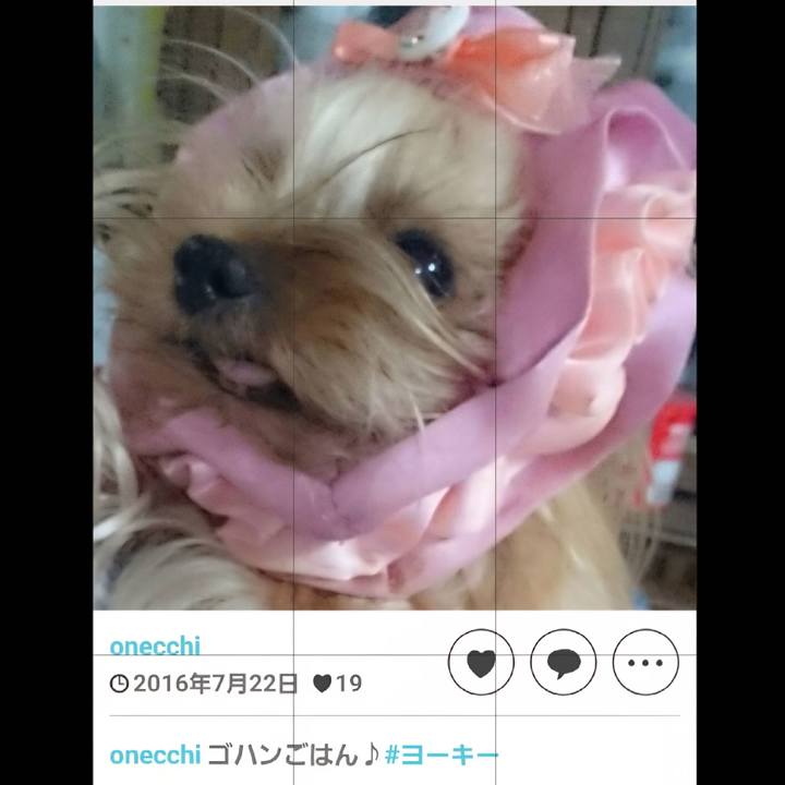 51dc1c2e 2e75 4b81 a5c2 18557c861ef3 1753264233399