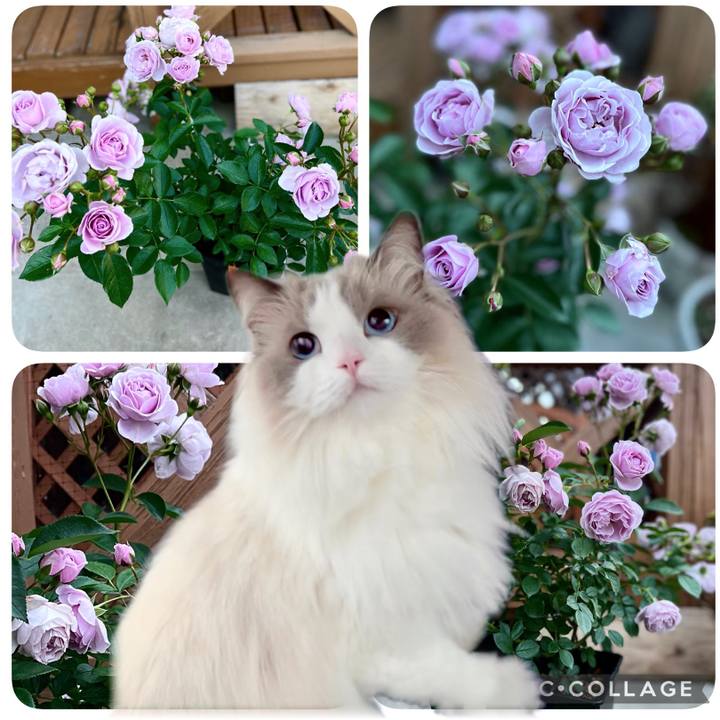 51dc1d8d 4207 490b ba19 94c06e2c73cd 1653299990102