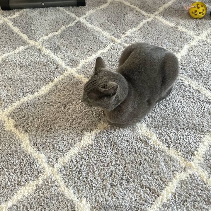 51dc3cb7 f850 4d46 b3e0 b650ee692555 1690549336751