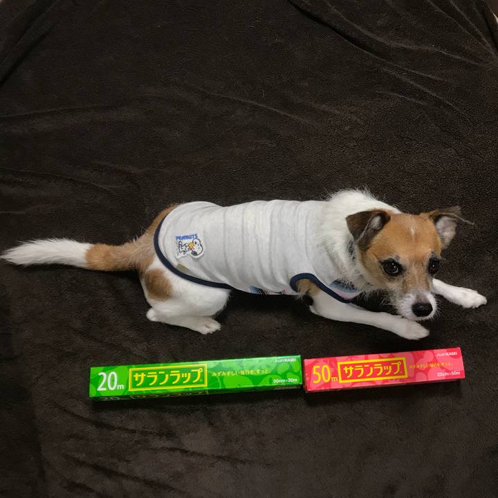 51dc4d28 dc0b 4cad 9f9e 763ae58b9407 1535608738021