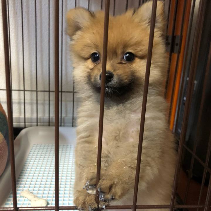 51dc526a c4e2 4b03 9dbe 0eed5615980a 1573476506455