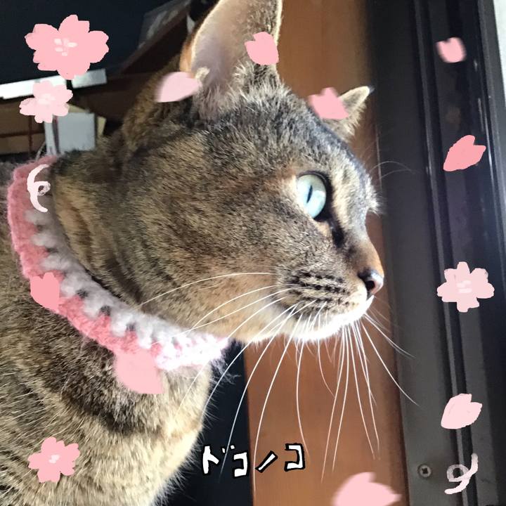 51dc7e89 9bdb 4866 849b 30611ab96629 1744356615194