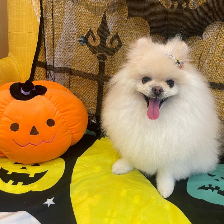 51dca9e8 bb08 43ee a759 6b695273a756 1729294139019