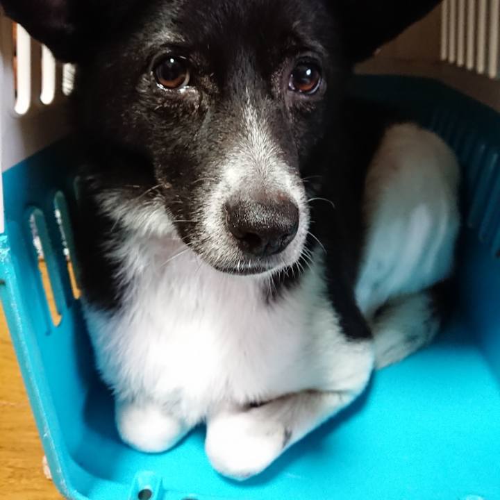 51dccd13 ad97 4df8 94be ccbfe682c47d 1528286357623