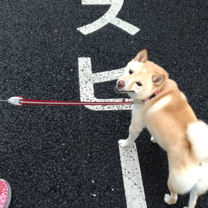 51dcd4ad e6a6 4f4f bc80 3abb2c4ba1c0 1600812142551