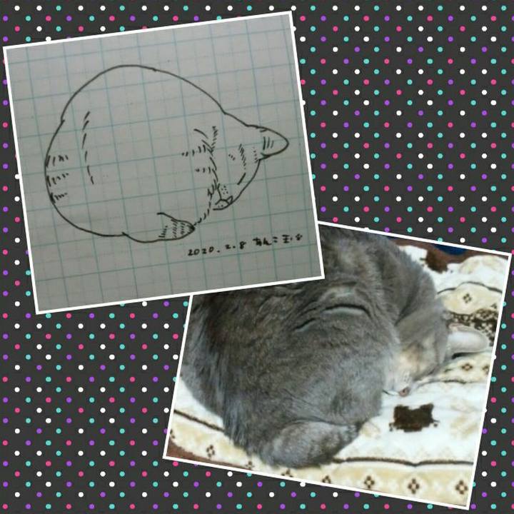 51dce20f 0b43 40c5 9a14 d582c8783a1e 1581088332550