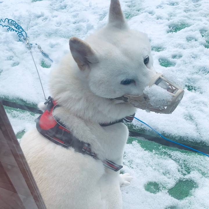 51dcf041 5194 4dd5 8246 10120e4aaf71 1606622698597