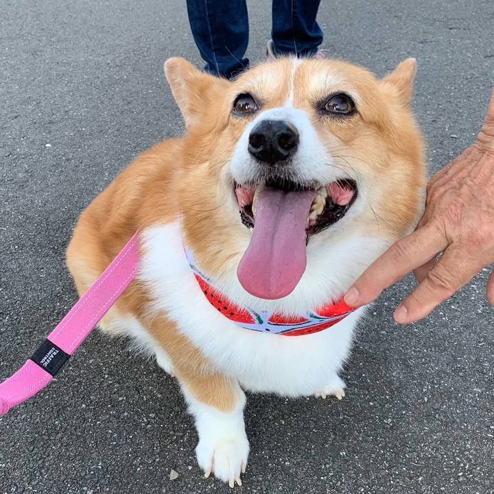 51dd09a1 67f3 410a b343 42f662b51b37 1691102383088