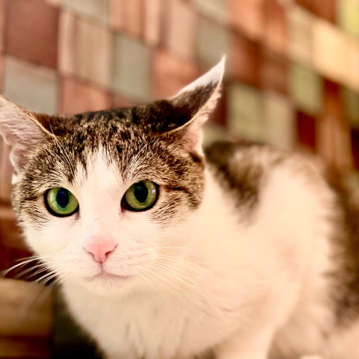 51dd112a b4f6 48a4 a324 e0554b6b2b30 1623304773000