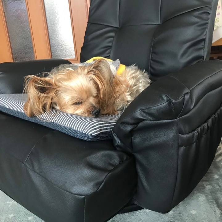 51dd1663 fa5d 4d7d ab93 2efd2dd4acc6 1556273452535