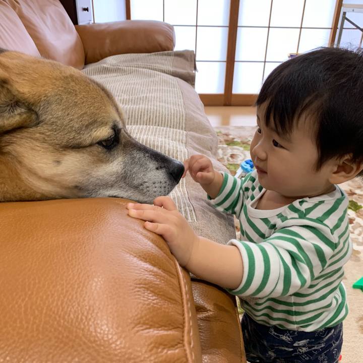 51dd2835 04a6 4cda 8317 6a8f2760c723 1553854619641