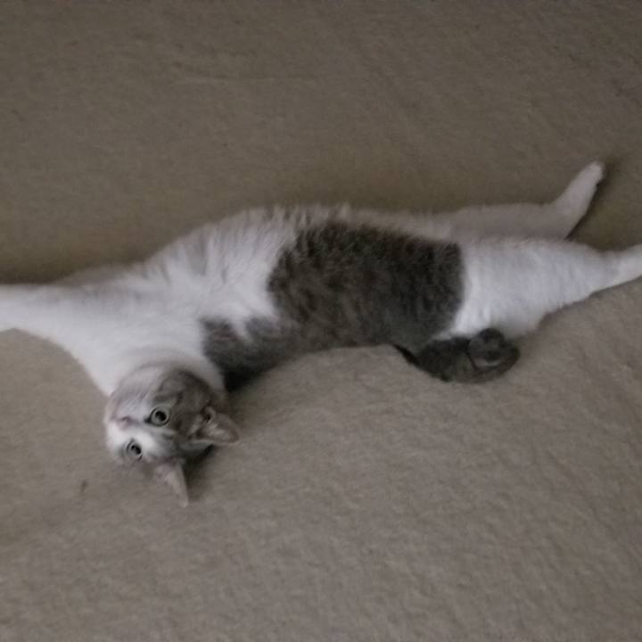 51dd456f e077 4d07 90e0 7f641dc5960b 1565789629222