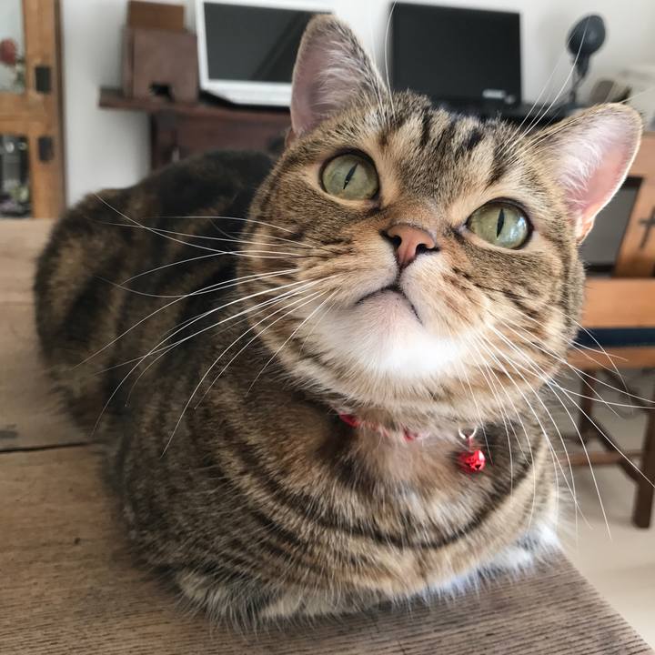 51dd5af6 a14a 49fc 9052 d3c3b4894f6b 1512971054923