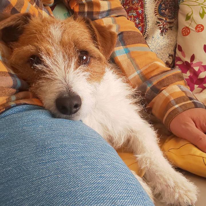 51dd6943 663e 4758 a191 adf091fe84ad 1581211270642