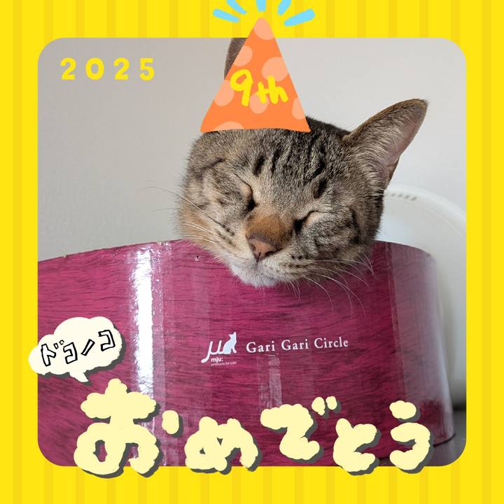 51ddbb6e 37e8 441f bb2e 12a51c9ba2b4 1749093183659