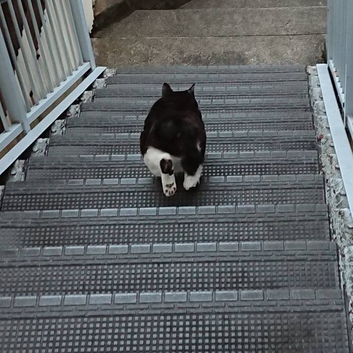 51dde59f bc50 4450 8325 9fff574056cd 1615373632015