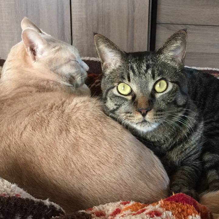 51de0192 6a23 479d 84f6 7e3d2c0fc3e8 1510064420404