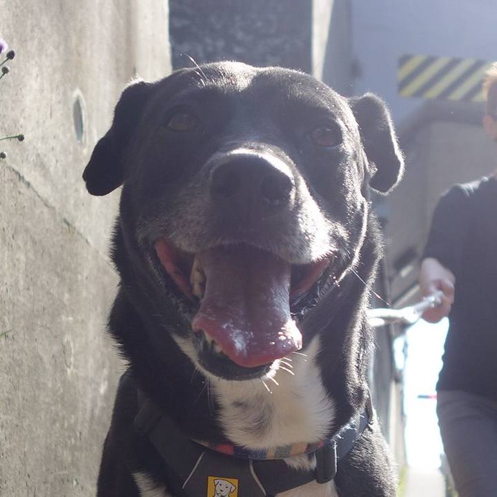 51de11cf 214f 45be 9e6f d03b0a0e72e2 1649465376744