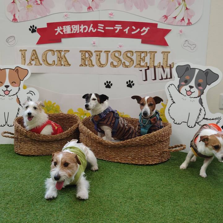 51de3210 436b 4889 aebb ea7a161407bb 1745909732858