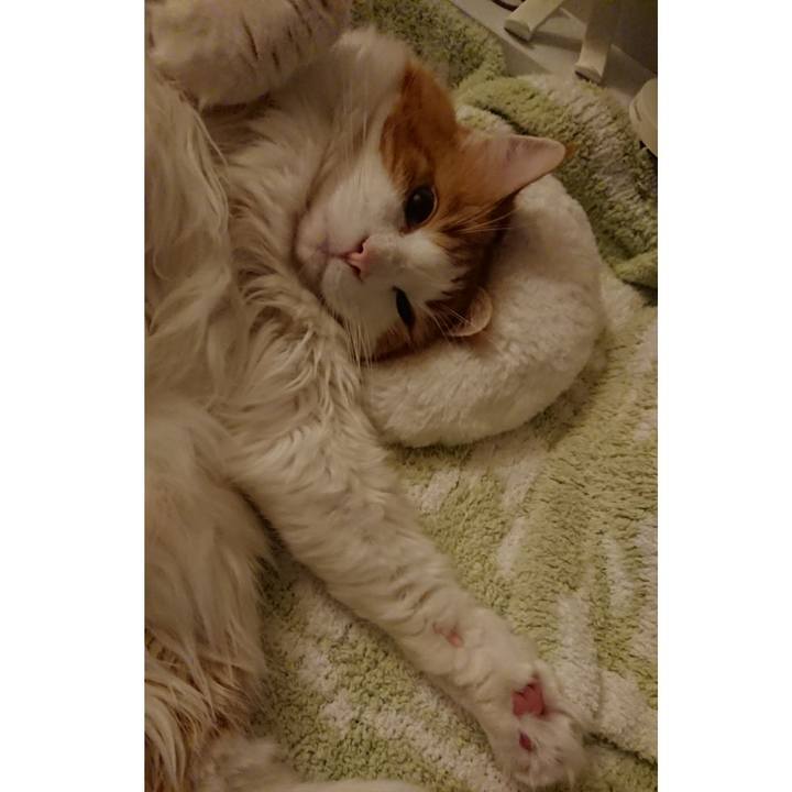 51de3803 23fc 4c86 803d a2ff8ca535b1 1574956743975