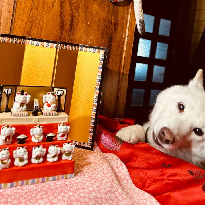 51de6f92 5cf1 4b42 9ca5 da76103ed7c5 1740181424057