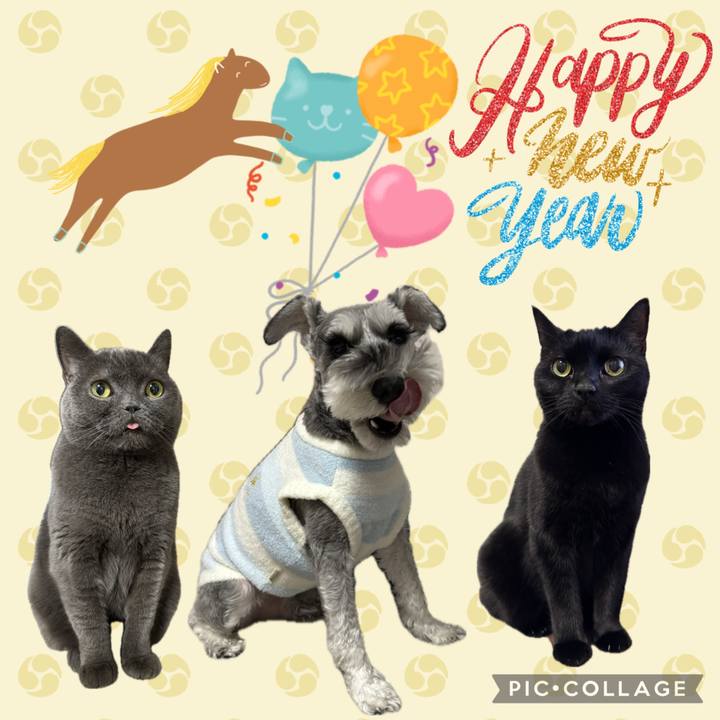 51de9d04 b9f3 4f82 a3ce 0ec95f44dd18 1767341949782