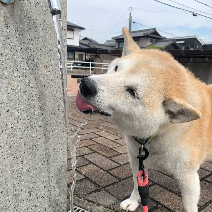 51dea752 aff5 43e8 9810 d5a05cb15dae 1747311361722