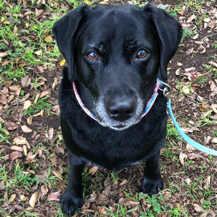 51deb259 cc92 4612 a0a4 f67cf6e604d6 1541409222861