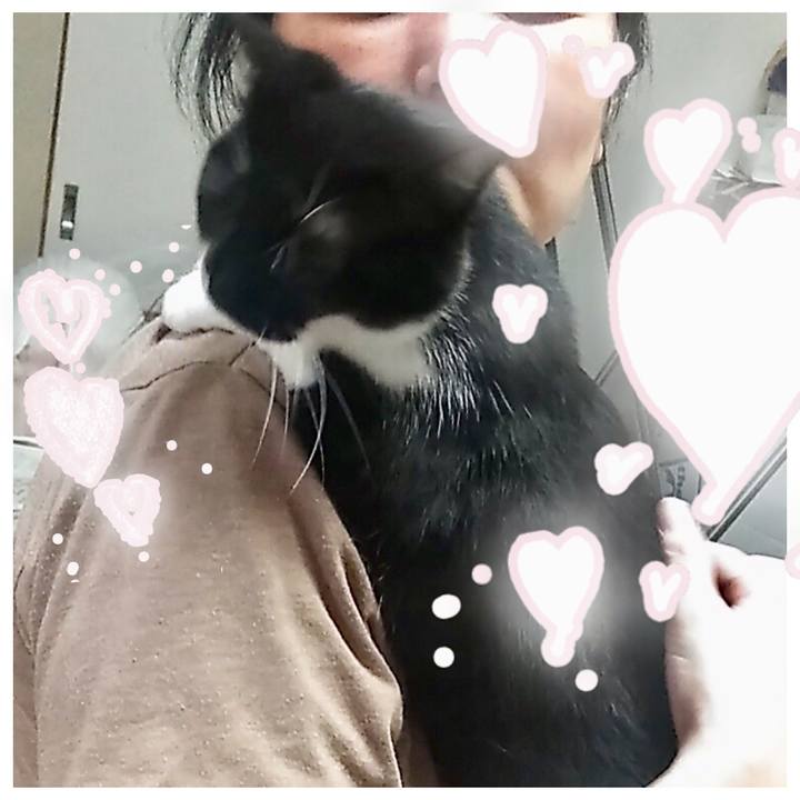 51decd16 502f 4916 b3a4 f026b0dd90fe 1563115897037