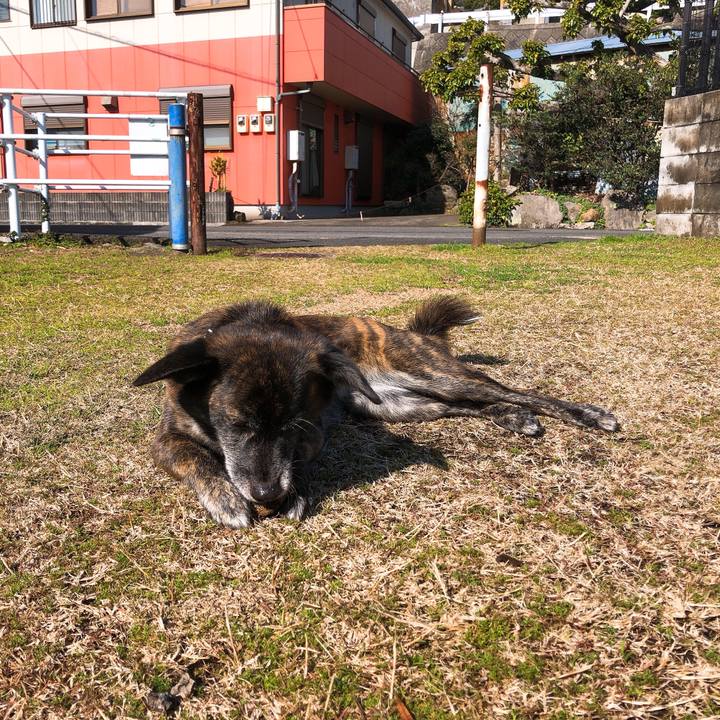 51ded472 461a 4734 84e5 549d95e260cc 1579748624905