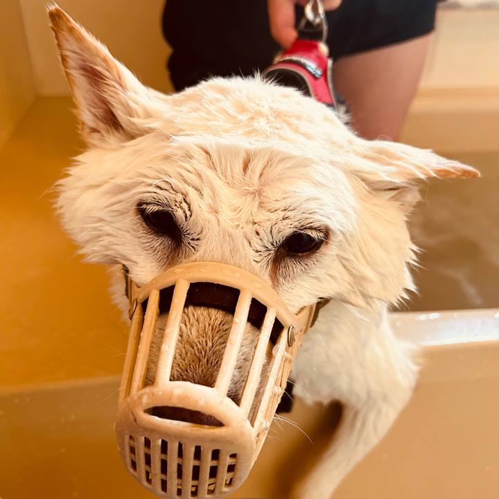 51deddd0 0d37 4c04 a049 d5c549b7f187 1716672961995