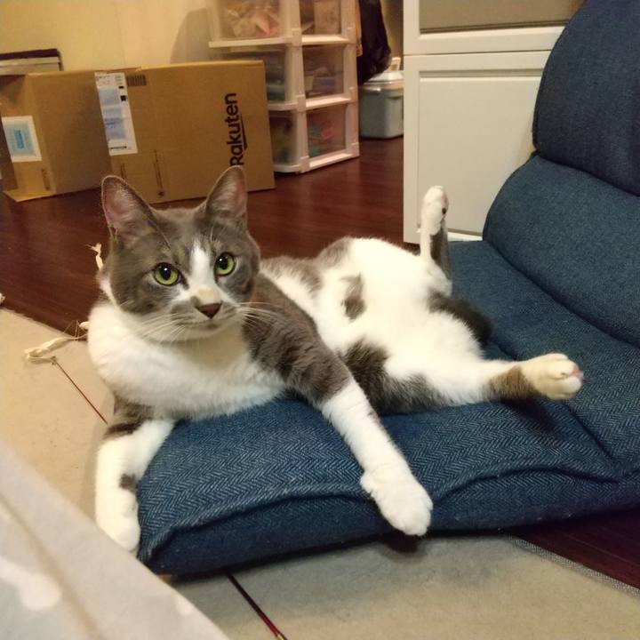 51dee9b7 f498 425c bdfa 8495e75b3c1f 1636376448925