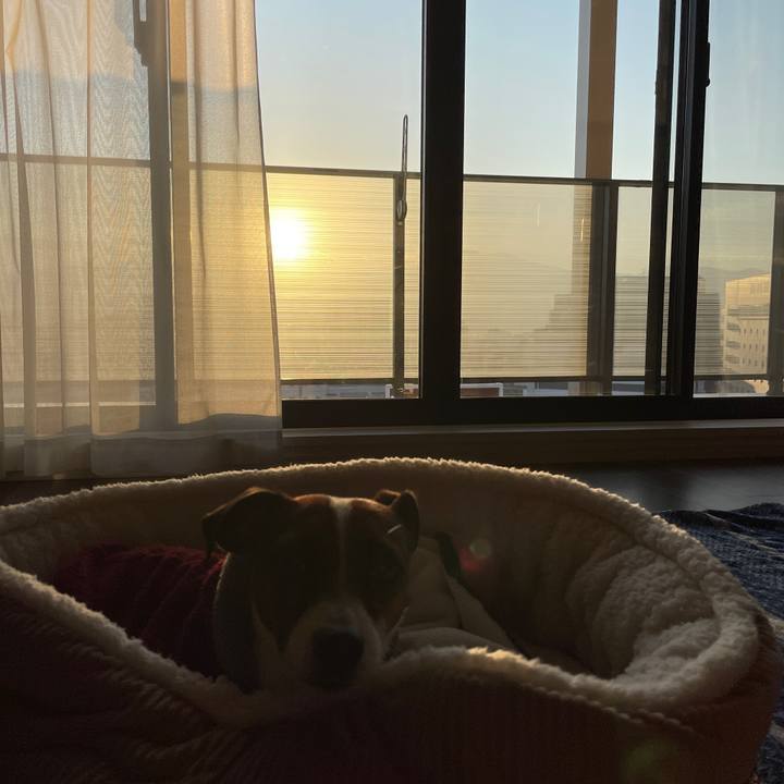 51df14c9 a8c5 4009 9c38 96ea9e4781cb 1646000289812