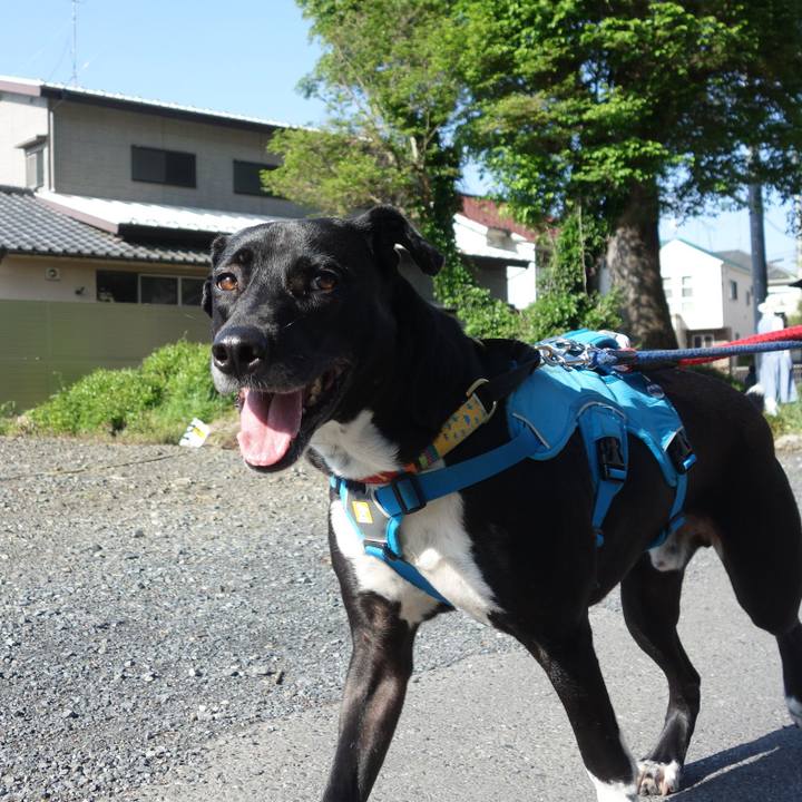 51df541f 4c65 40ac a007 2a977b41bd74 1619917806298