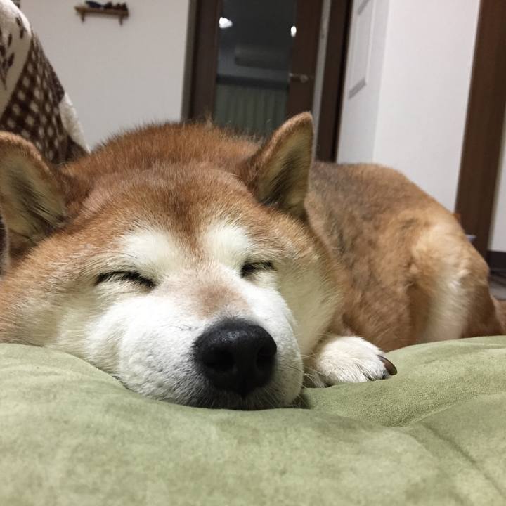 51df5a8f 5da1 4bfe 960b 97c904f8f735 1556609678647