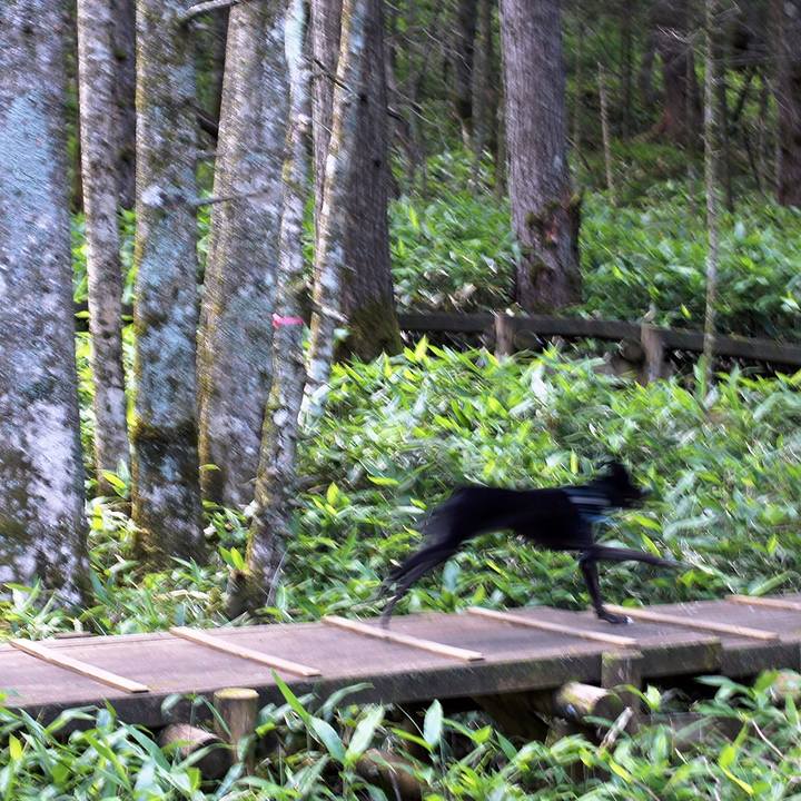 51dfb9e2 5f74 44b9 b89f 3240fa0c0467 1533860820565