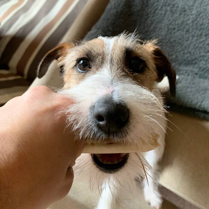 51dff624 2cf3 4d39 b2bd b18a7a0c660e 1583644328087