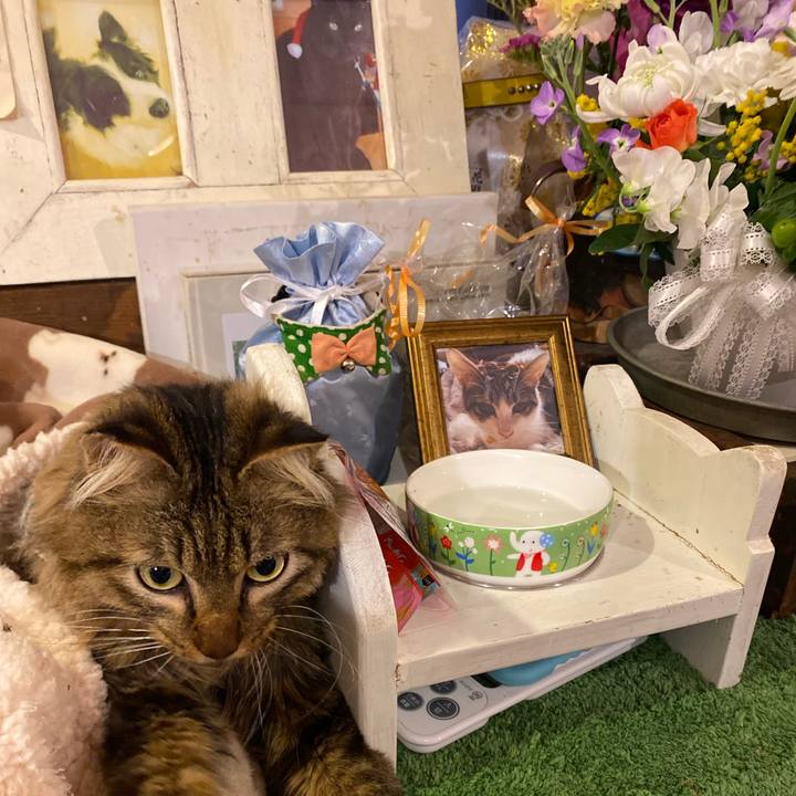 51dffcbc 9731 4ae9 9e8d 6d475e7f4637 1708507419630